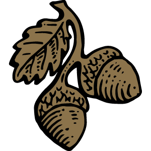 Acorns icon from family crest.